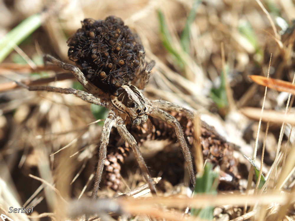 Belle rencontre du jour